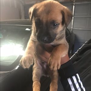 Meet your Posher, Amara